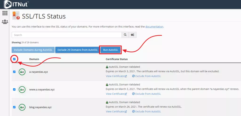 AutoSSL দিয়ে সিপ্যানেল থেকে কিভাবে SSL জেনারেট করব? 2 AnyConv.com 9.b 1024x495 1