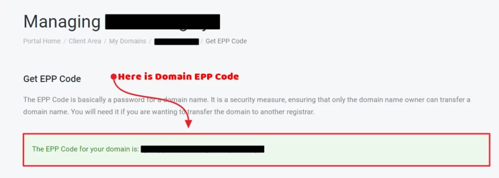 What is EPP Code for my Domain? 4 image5 9