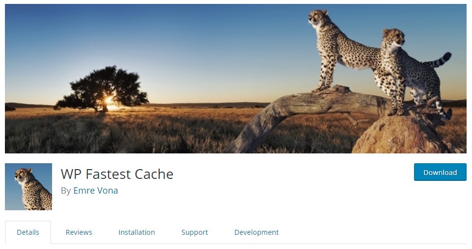 7 Best WordPress Caching Plugins to Set UP Your Website 5 wp fastest cache